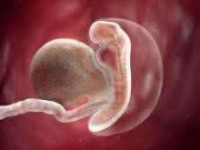 عکس جنین در هفته چهارم بارداری
