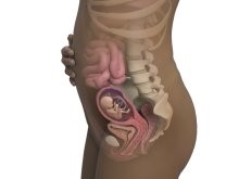 عکس جنین در هفته شانزدهم بارداری