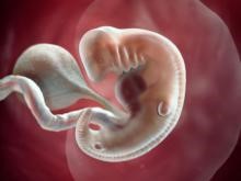 عکس جنین در هفته پنجم بارداری